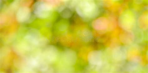 Green Blurred Background Of Tree Leaves Stock Image Image Of