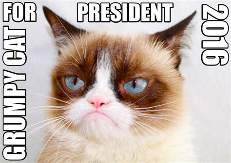 Grumpy Cat For President 2016 Grumpy Cat Know Your Meme