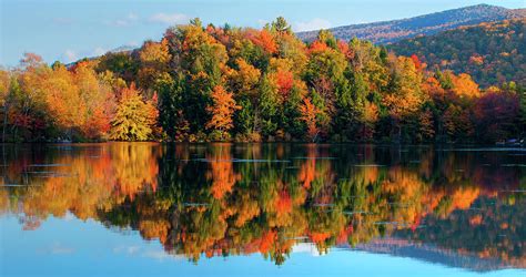 Reflection Of Autumn Trees In A Lake Photograph By Panoramic Images