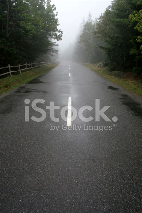 Foggy Road Stock Photo Royalty Free Freeimages