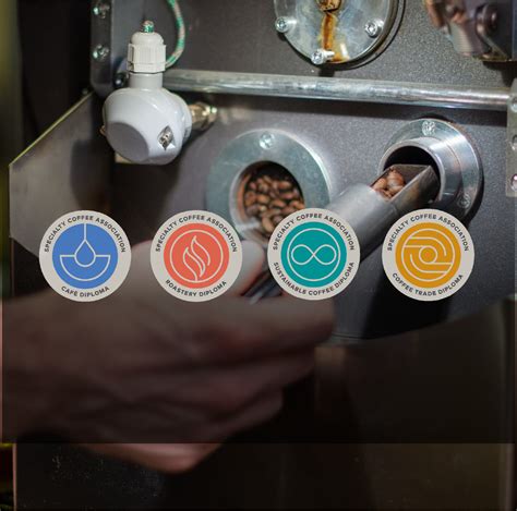 Embark on a Journey to Coffee Excellence with the New SCA Skill Diploma