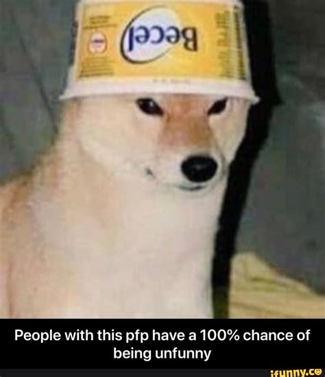 Funny Dog Meme Pfp