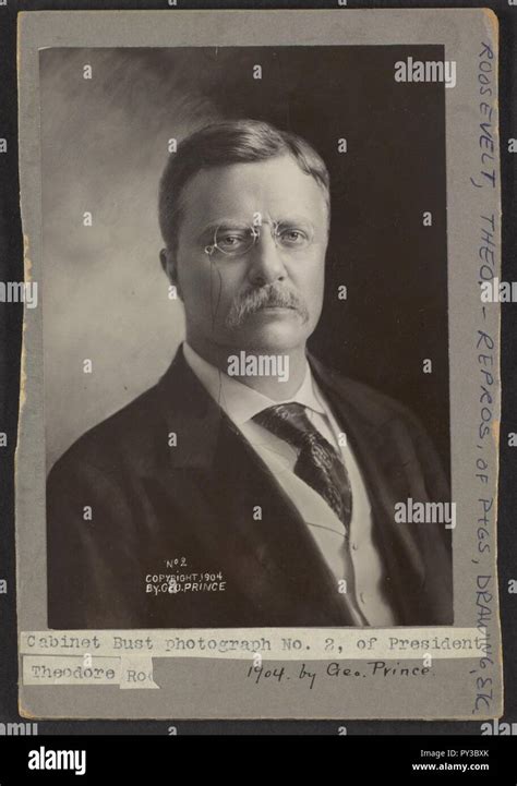 Theodore Roosevelt And His Cabinet Hi Res Stock Photography And Images