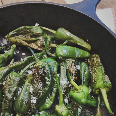 This allows the local government to calculate how many people. Pimientos de padron Spaanse tapas | Spaanse tapas, Voedsel ...