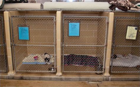 30 Best Indoor Dog Kennel Ideas Page 6 The Paws Indoor Dog