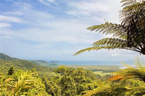 Where The Daintree Meets To The Reef Rainforest Greatbarrierreef