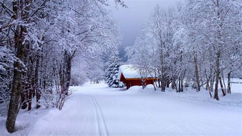 Nature Road House Forest Winter Snow Sky Landscape White Beautiful Cool Nice Scenery Hd Wallpaper