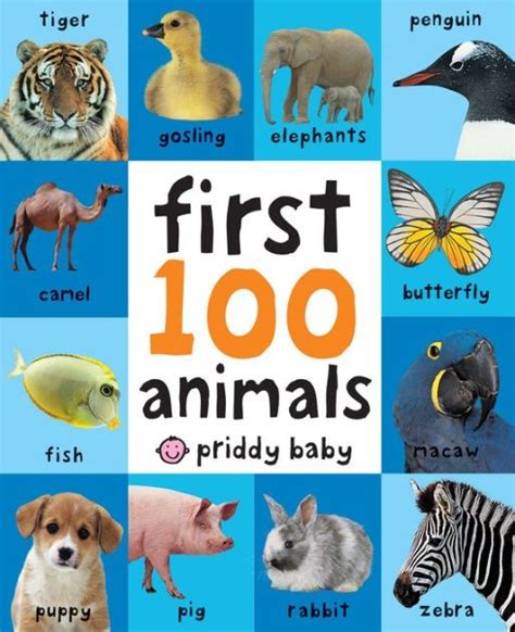 Your Little One Will Love To Discover The Amazing Animals Inside This