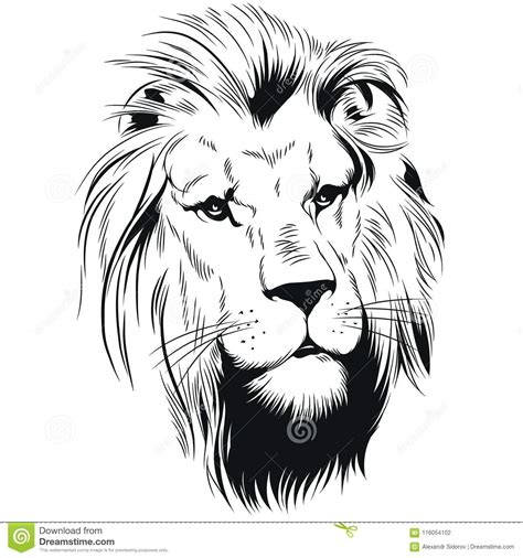 Head Of A Lion King Of Beasts Stock Vector Illustration Of Danger