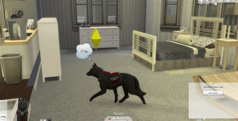 Service Dog Vest Mod Sims 4 Mod Mod For Sims 4