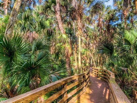 10 Underrated Hiking Trails In Florida With Photos