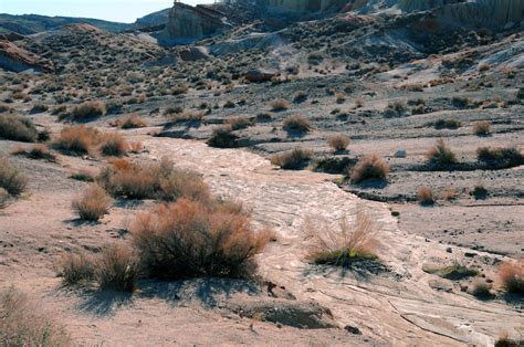 Dry River Bed Free Stock Photo Public Domain Pictures