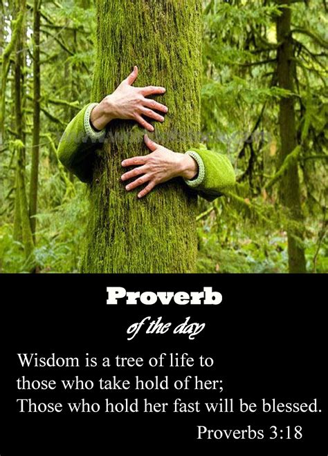 Proverbs About Life With Meaning Word Of Wisdom Mania
