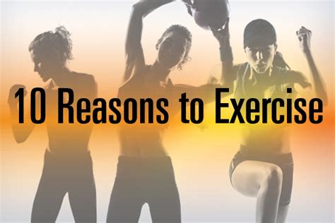 Top 10 Reasons Why You Should Exercise Commercial Fitness Octane