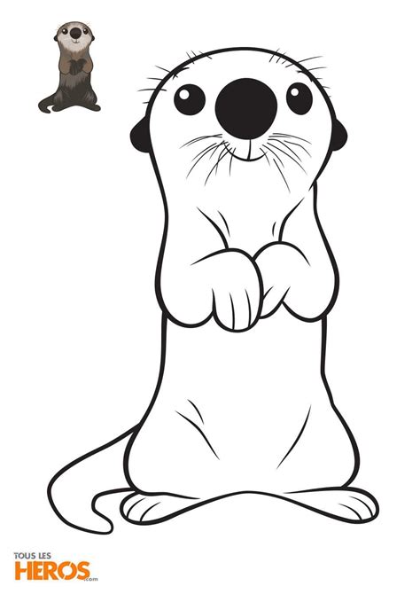 Sea Otter Coloring Coloring Pages