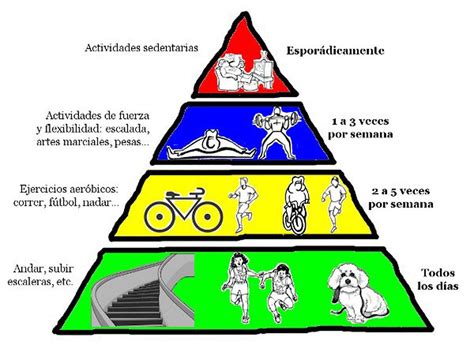 La Pirámide De La Actividad Física Sentirse Bien Es