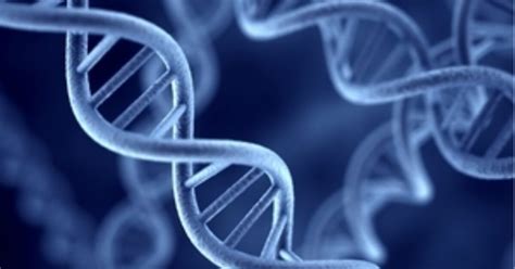 Nhs Genomic Medicine Centres Announced For 100000 Genomes Project