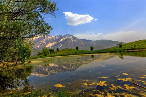 Kurdstian Nature سروشتی كوردستان، ده‌ڤه‌ری چۆمان، گۆمی فێڵاو Felaw