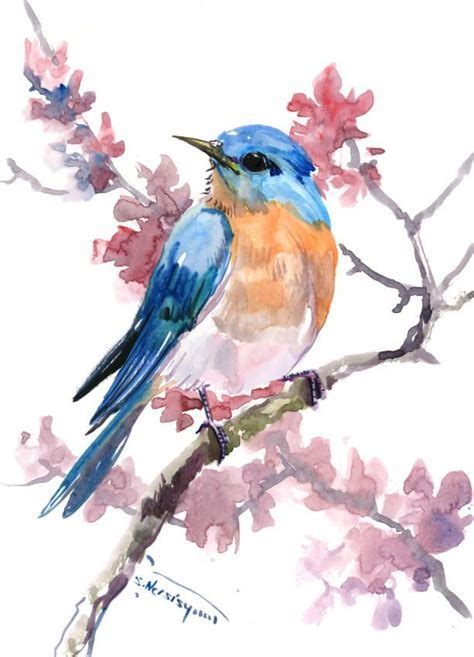Katrina Colored Pencil Birds Blue Bird Art Bird Watercolor