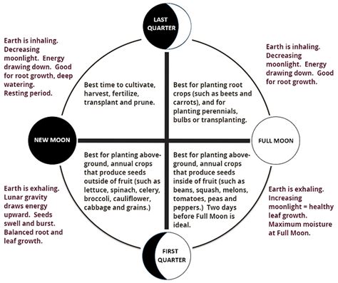 Lunar Gardening