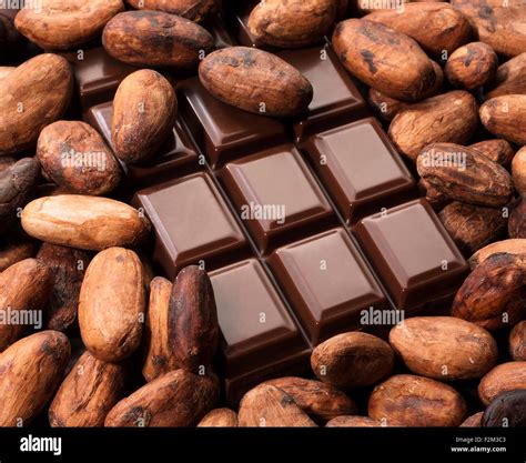 Cocoa Beans And Chocolate Bar Stock Photo Royalty Free Image 87722883