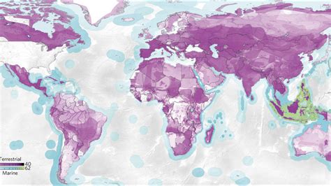 Endangered Species And The Stuff We Buy All Mapped Out The New York