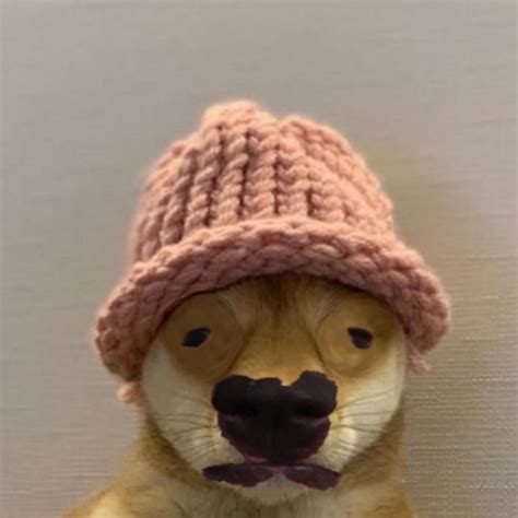 Walter Wif Hat Dogwifhatgang