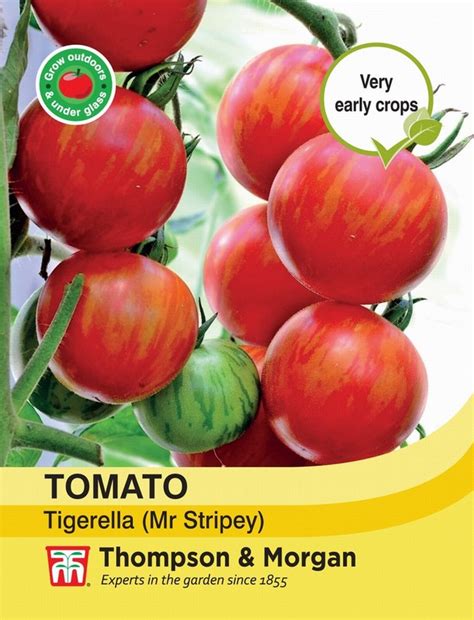 Tomato Tigerella Mr Stripey Woburn Sands Emporium Is Your Local