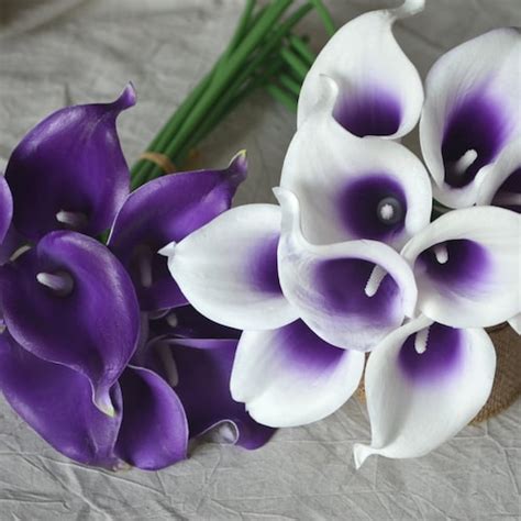 Black Burgundy Calla Lilies Real Touch Flowers Diy Silk Etsy