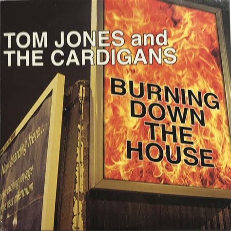 Tom Jones And The Cardigans Burning Down The House Cardboard