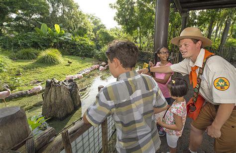 Ultimate Guide To Wilderness Explorers At Animal Kingdom
