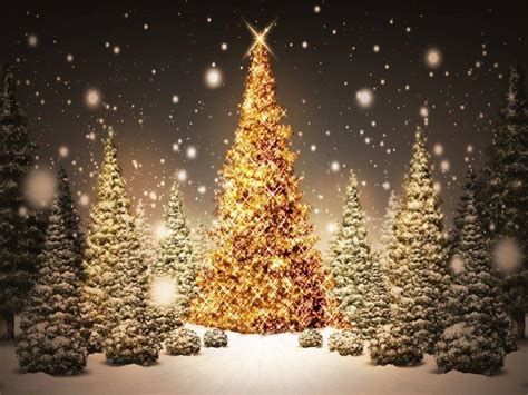 Outdoor Christmas Wallpapers Top Free Outdoor Christmas Backgrounds