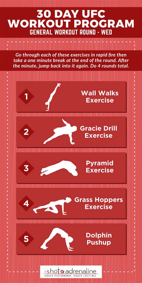 Here are 12 at home workouts you can do to upgrade your strength, burn some calories, and improve your flexibility. The 30 Day UFC Workout Program