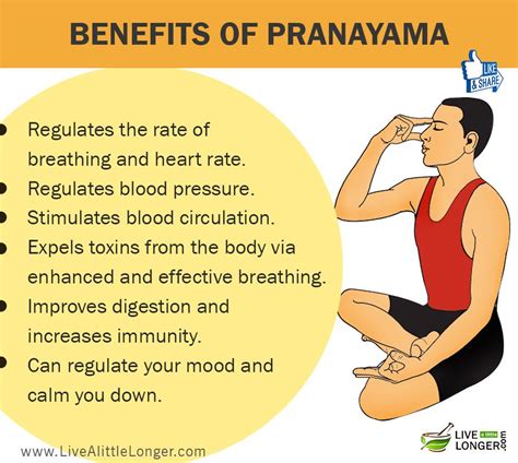 Pranayama Is Control Of Breath Prana Is Breath Or Vital Energy In