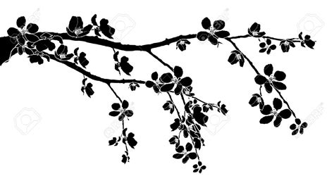 Black And White Cherry Blossom Clipart