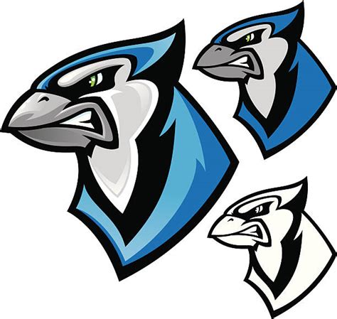 Mascot Blue Jay Bird Black And White Illustrations Royalty Free Vector