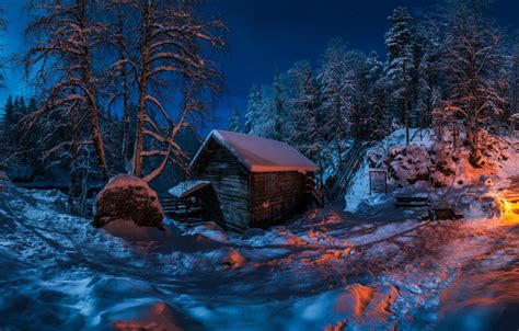 Wallpaper Winter Forest Snow Trees Night Hut Hut The Fire