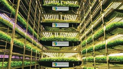 Aerofarms The Worlds Largest Indoor Vertical Farm Is Addressing Food