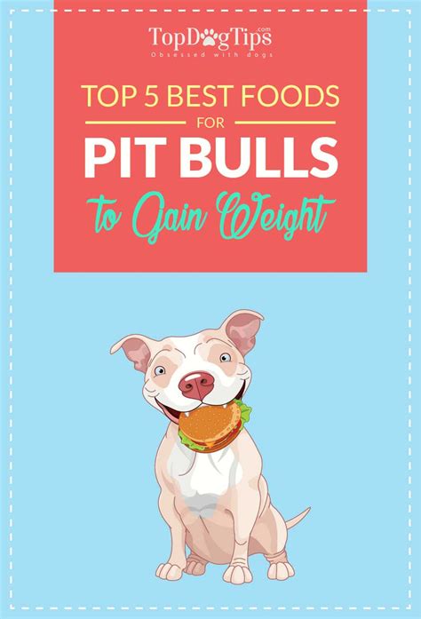 We reviewed the 12 top dry and canned foods both of pitbull puppies and adults. Top 5 Best Dog Food for Pitbulls to Gain Weight and Lean ...