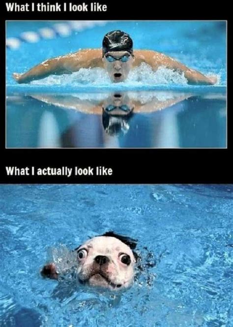 Funny Quotes About Swimming Pools Quotesgram