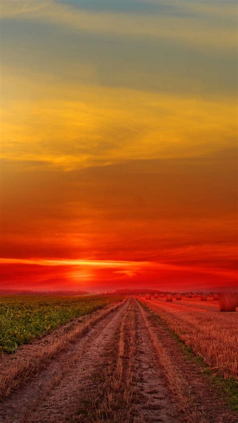 2160x3840 Colorful Sunset At Lonely Field Sony Xperia Xxzz5 Premium