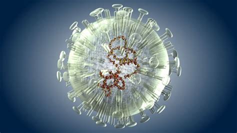 First Flu Affects Lifetime Risk Bbc News