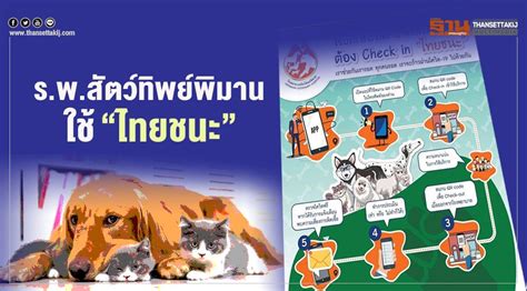 At this time, the shop is still open as usual. "ไทยชนะ"ขยายวงสู่ร.พ.สัตว์