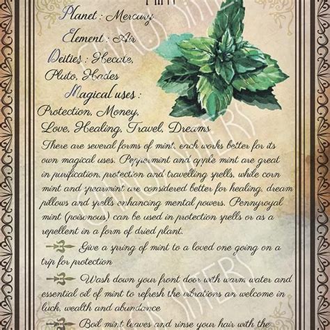 Printable Herbs Book Of Shadows Pages Set 2 Herbs And Plants