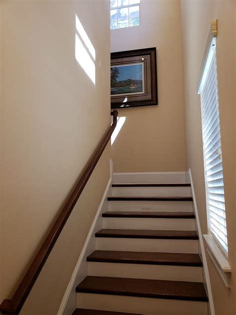 Body Rub Tampa – Telegraph