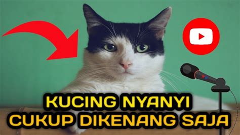 KUCING NYANYI CUKUP DIKENANG SAJA YouTube