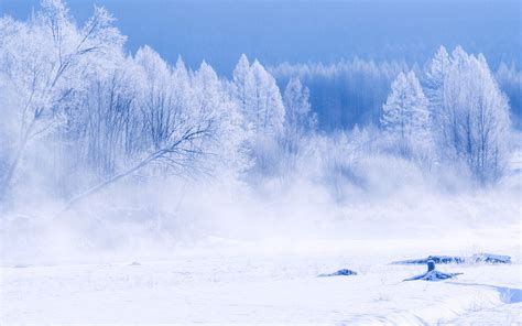 Winter Scenery Photo Desktop Hd Wallpaper 4k
