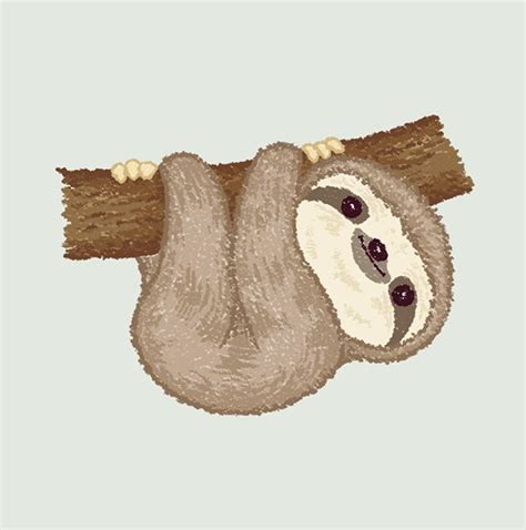 Sloth On Behance Sloth Art Sloth Drawing Cute Animal Drawings Kawaii