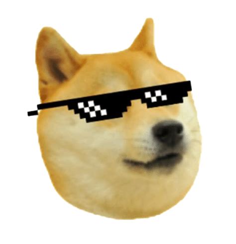 Shiba Inu Doge Meme Png Picture Png Mart