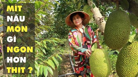 Pick Jackfruit For Cooking A Vegetarian Dish That Tastes Even Better